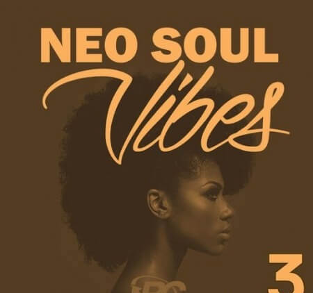 Big Citi Loops Neo Soul Vibes 3 WAV